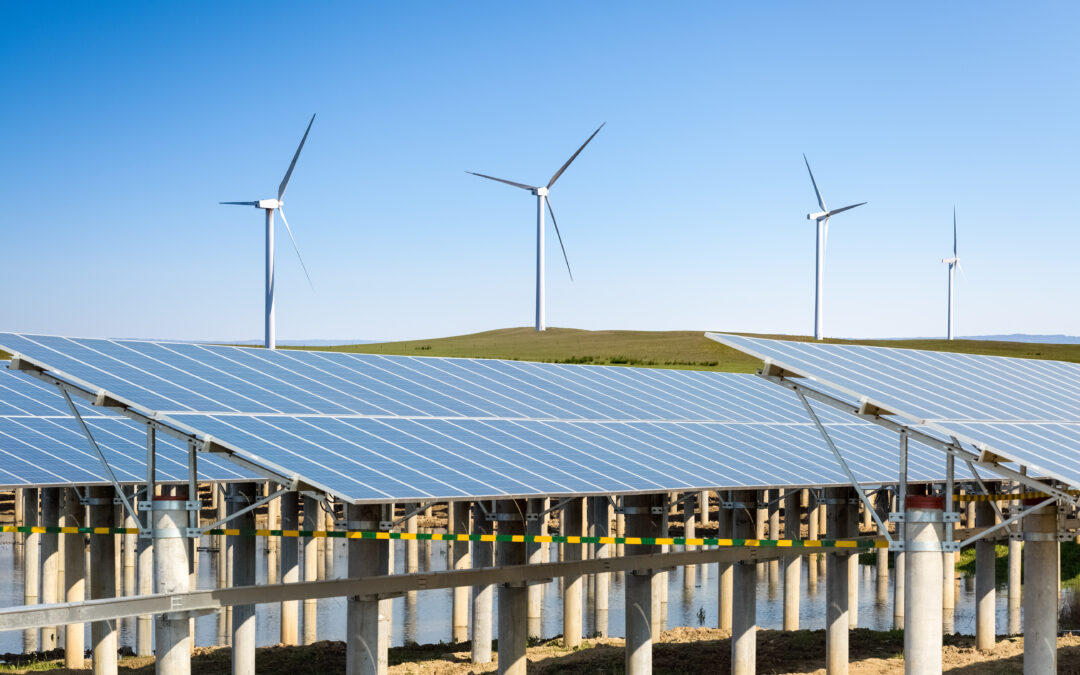 How Suppliers Help the Renewable Energy Market